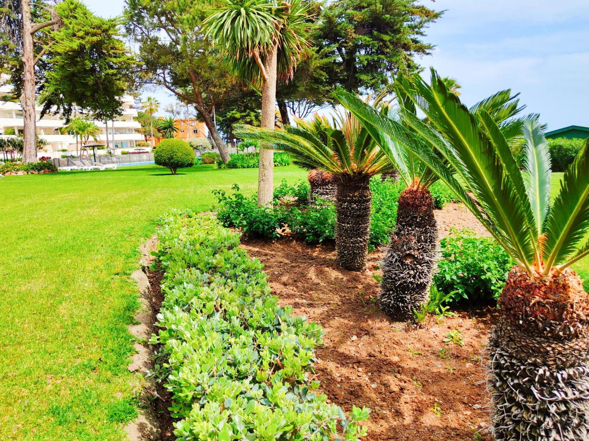 Luxury Frontline Residence Ehhouse Estepona Exteriör bild